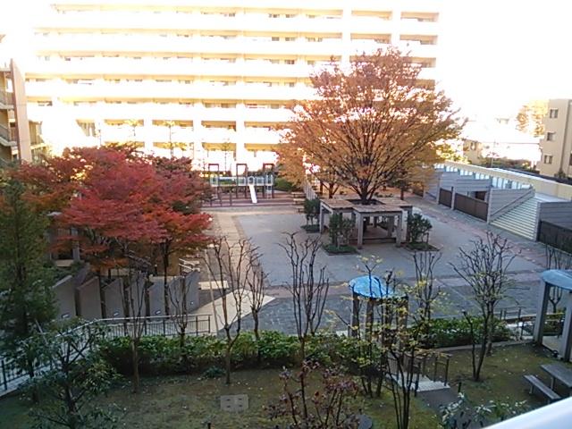 Other local. Local (11 May 2013) Shooting