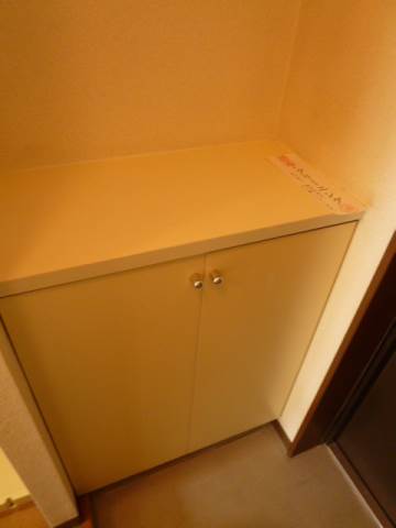 Entrance. There shoebox