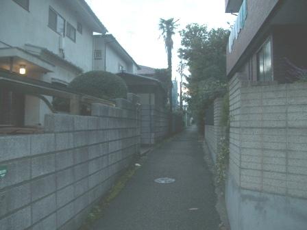 Local photos, including front road. Local (November 16, 2013) Shooting