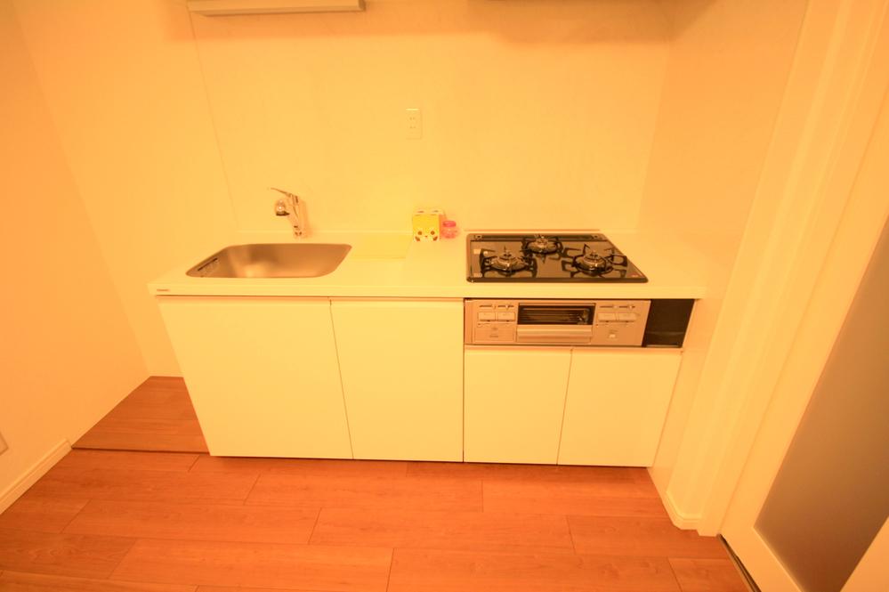 Kitchen. Indoor (12 May 2013) Shooting