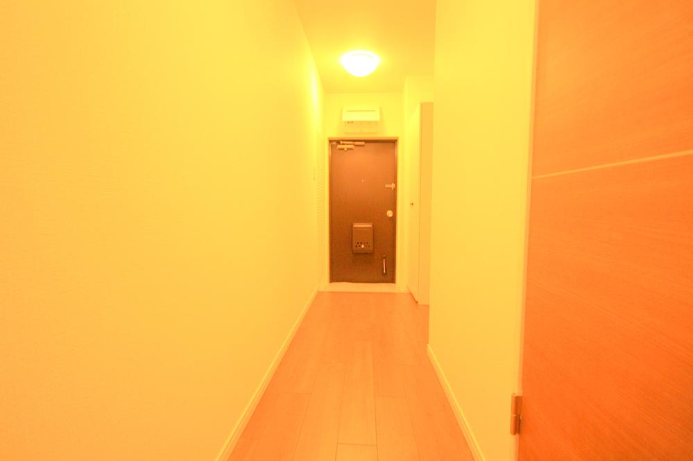 Entrance. Indoor (12 May 2013) Shooting