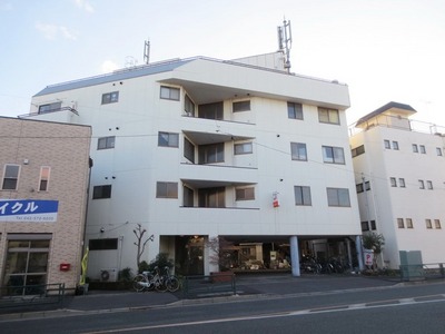 Building appearance. Firmly Mansion