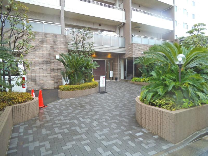 Local appearance photo. Local (25 December) shooting