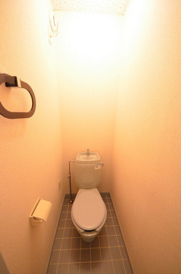 Toilet. ☆ Clean toilet ☆