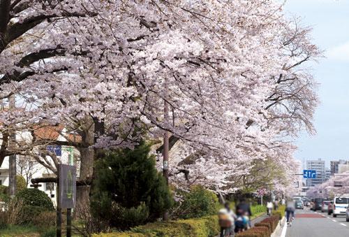Streets around. Until the street University ※ A: 1890m / Walk 24 minutes ・ ※ B: 1790m / Walk 23 minutes