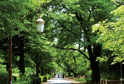 Streets around. Until the street University ※ A: 1320m / Walk 17 minutes ・ ※ B: 1160m / A 15-minute walk ( ※ A: town of Proud season National light ・ ※ B: the city of Proud season National style)