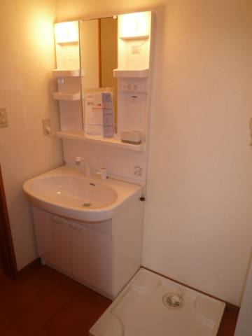 Washroom. Washing machine in the room