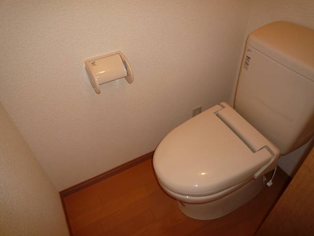 Toilet. Toilet with cleanliness