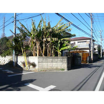 Local land photo. Local Photos