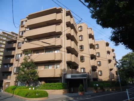 Local appearance photo. Local (12 May 2013) Shooting