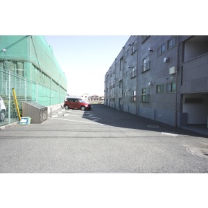 Living and room. Living