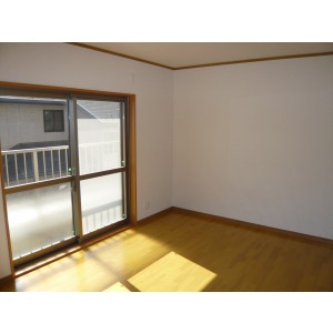 Living and room. Living