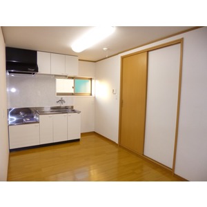 Living and room. LDK