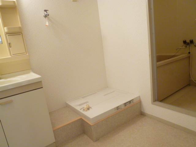 Washroom. Indoor Laundry Storage
