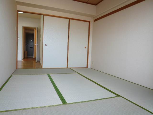 Other room space. Beautiful Japanese-style room