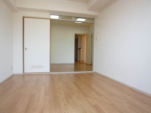 Living and room. Clean flooring