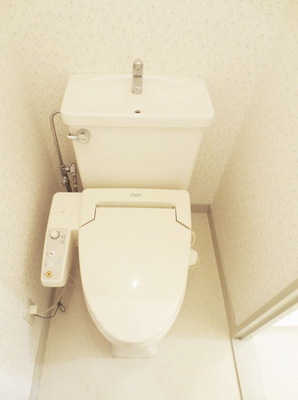 Toilet. Toilet