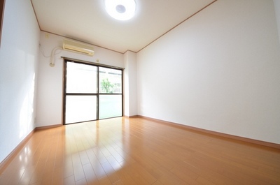 Living and room. Large-scale renovation completed