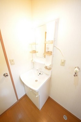 Washroom. Happy independence washbasin