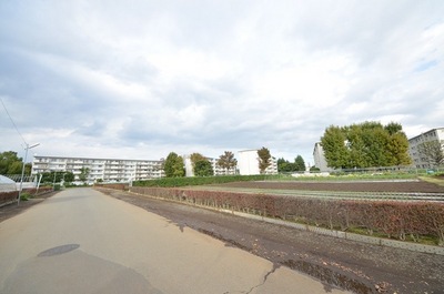 Other. 1m to the periphery (other)