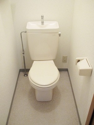 Toilet. Toilet
