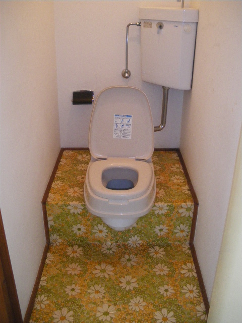 Toilet