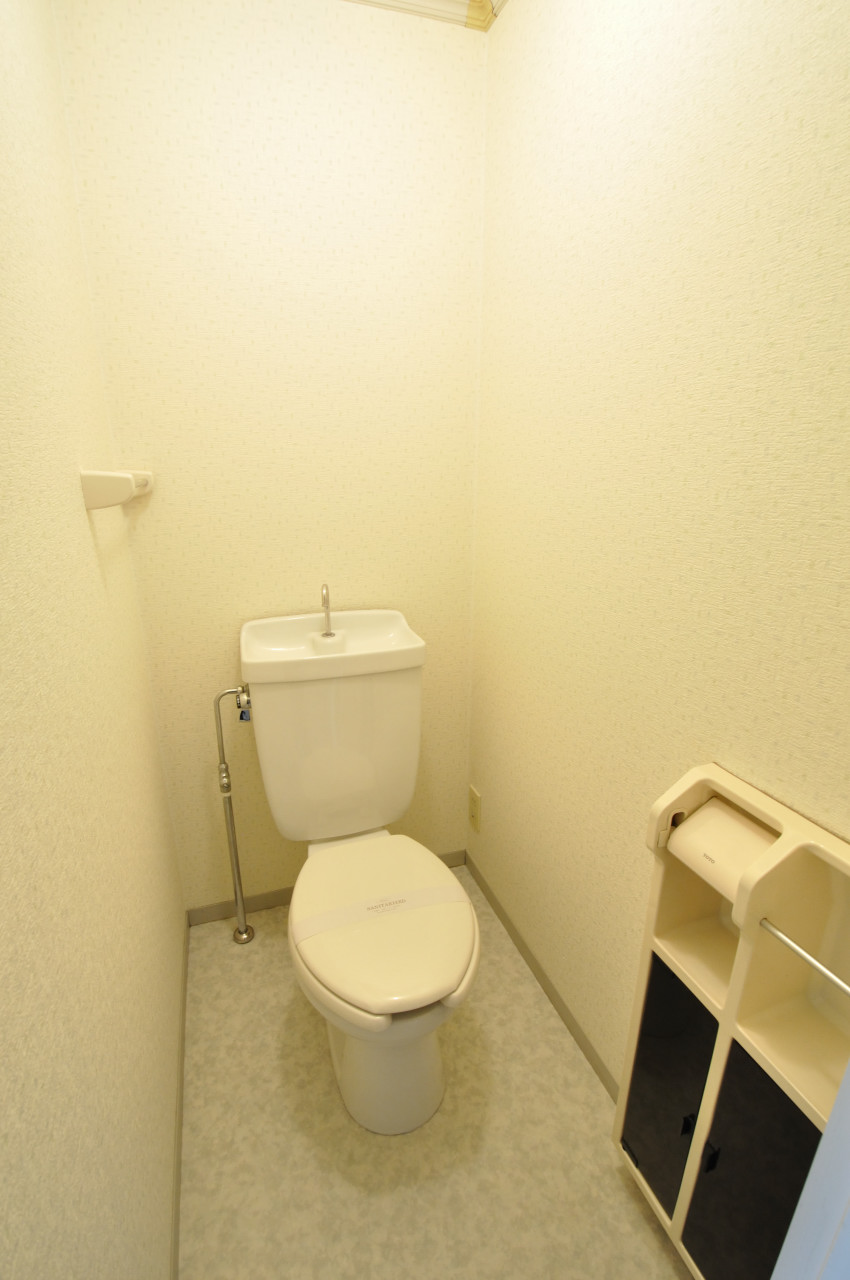 Toilet. It is easy to use independent toilet.