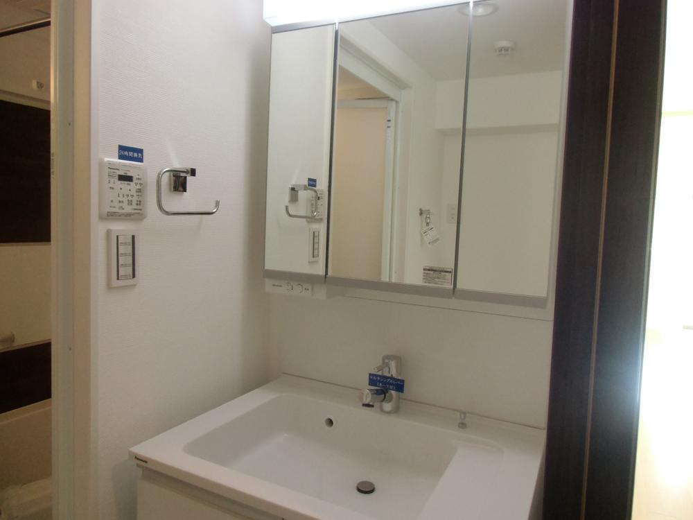 Other introspection. Bathroom vanity