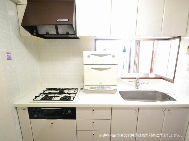 Kitchen. Leksell Mansion Kokubunji kitchen