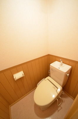 Toilet. ☆ Clean toilet ☆