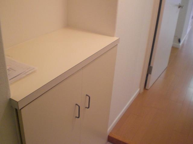 Entrance. Indoor (June 2013) Shooting