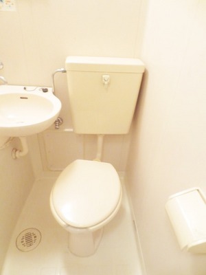 Toilet. Toilet