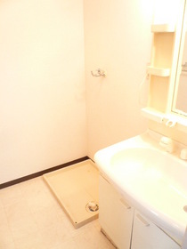 Washroom. Shampoo Dresser & Laundry Area