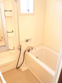 Bath. Bathroom with reheating