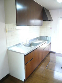 Kitchen. Gasukitchin