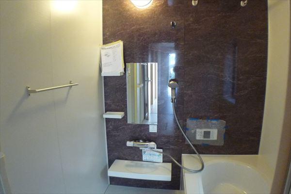 Bathroom. Indoor (12 May 2013) Shooting