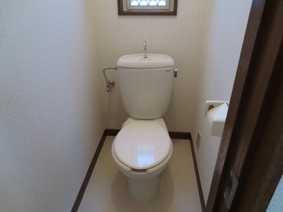 Toilet. Bright toilet