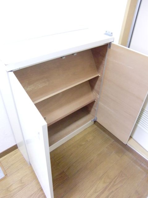 Receipt. There is a shoe box in the foyer