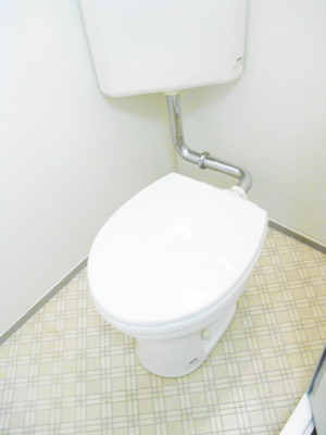 Toilet. Toilet