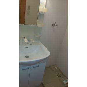 Washroom. Large independent wash basin