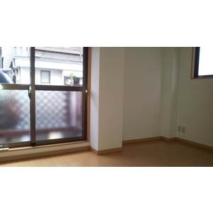 Living and room. Bright two-plane daylight