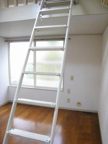 Living and room. Ladder to the loft