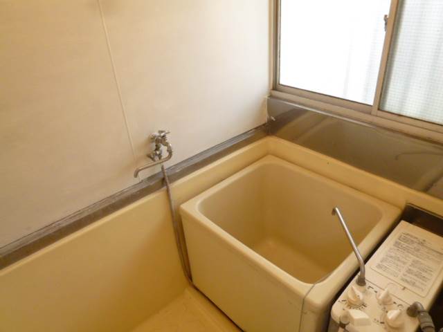 Bath. Bathing with add cooking function