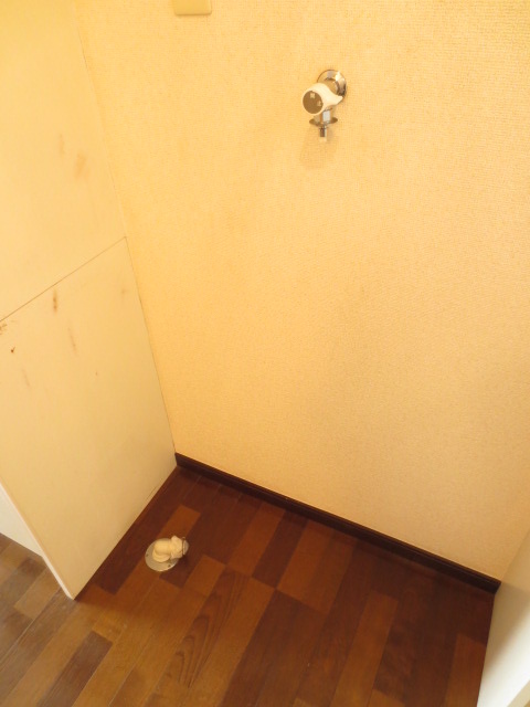 Other room space. Indoor Laundry Storage