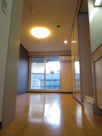 Living and room. Room from the entrance