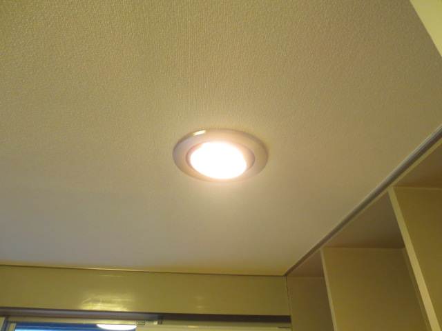 Other Equipment. Stylish downlight