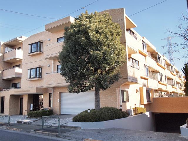 Local appearance photo