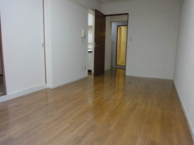 Living and room. Clean LDK