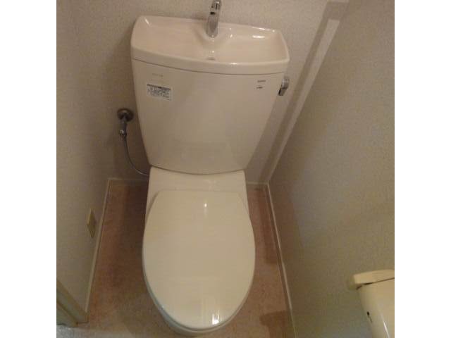 Toilet. Clean toilet