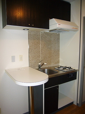 Kitchen. It has adopted a "counter kitchen" of the popular.